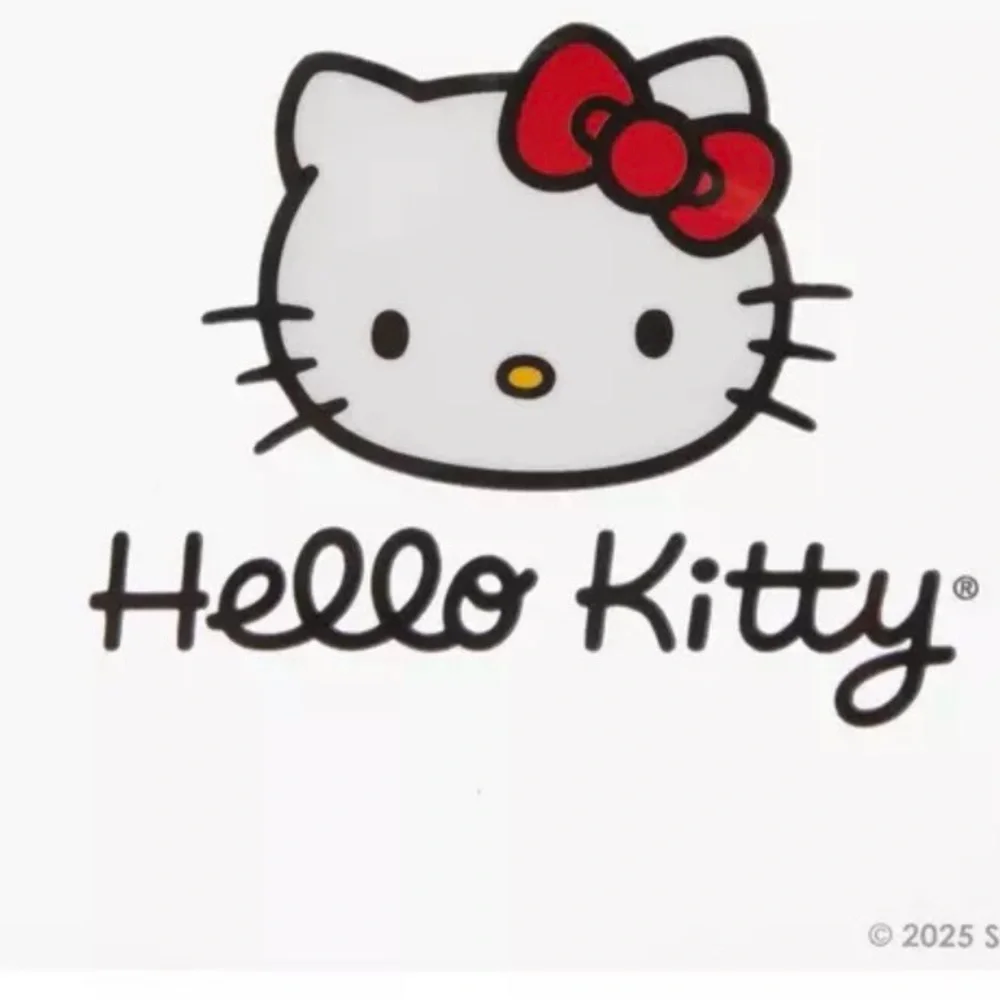 NEW Sanrio Hello Kitty & Friends All Over Print Faux Leather Mini Backpack Cute